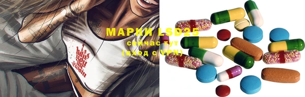 Альфа ПВП Верея