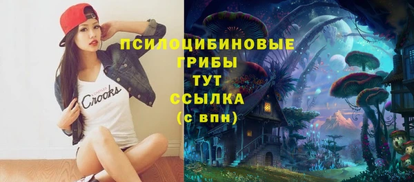 Альфа ПВП Верея