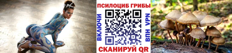 Купить закладки  Новоуральск  Галлюциногенные грибы прущие грибы 